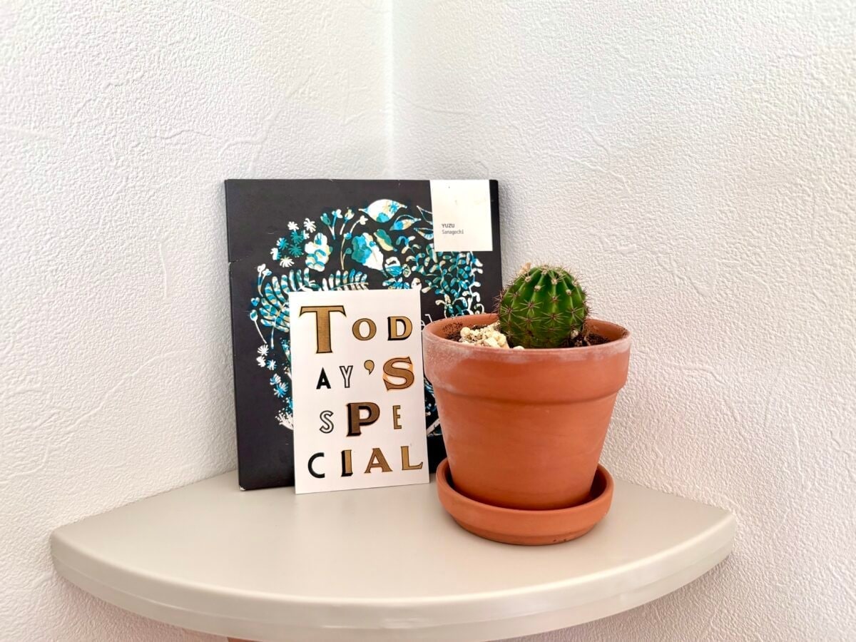 100均収納アイデア集!本当に買ってよかったアイテム13選【ダイソー・セリア・キャンドゥ】