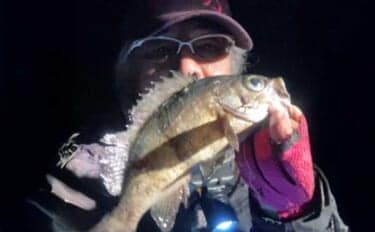 ノベザオ(延べ竿)メバル釣りで27cm筆頭に良型メバルが連発【広島】