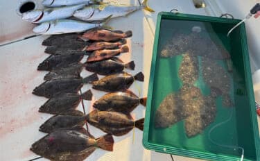 周防灘の泳がせ釣りでヒラメ57cm頭に船中18尾手中!【山口・第八新西丸】青物&アコウも顔出し