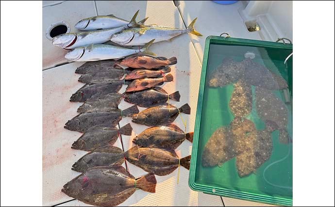 周防灘の泳がせ釣りでヒラメ57cm頭に船中18尾手中！【山口・第八新西丸】青物＆アコウも顔出し