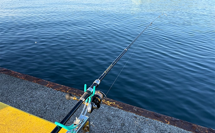 海釣り初心者の女性アングラーが「実際に買って大満足した」釣り竿とリールを紹介