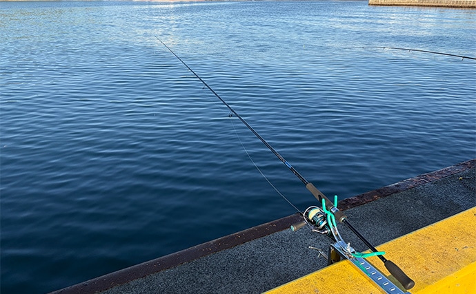 海釣り初心者の女性アングラーが「実際に買って大満足した」釣り竿とリールを紹介