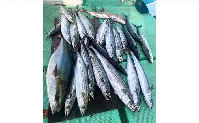 「脂乗った大型青物が好ヒット！」ブリにサワラが続々【沖のルアー釣果速報・福岡】