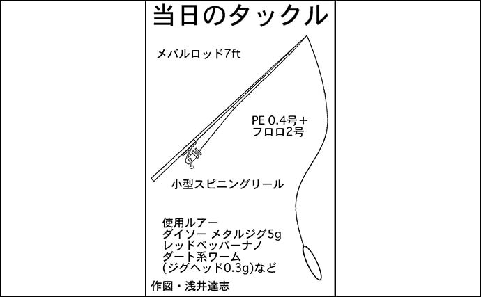 秋の的矢湾ライトゲームで6魚種キャッチ!【三重】メッキ・カマス・アオヤガラ登場