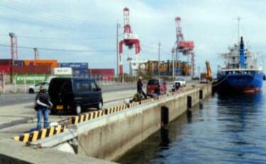 波止でのエサ釣りで良型アラカブ（カサゴ）にクジメ【福岡・太刀浦ふ頭】