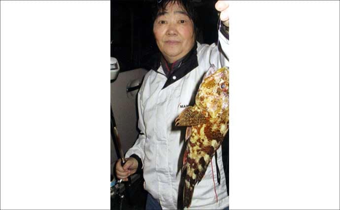 波止でのエサ釣りで良型アラカブ（カサゴ）にクジメ【福岡・太刀浦ふ頭】