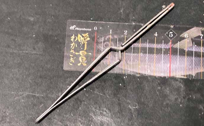 100円均一ショップで買うことができる【ワカサギ釣りの必携小道具4選】