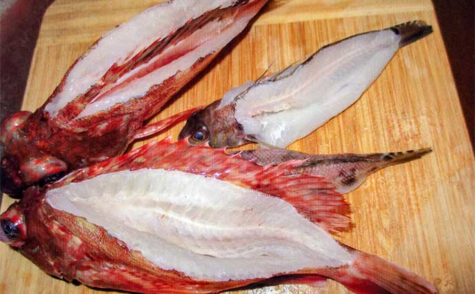 「小ダイ・カワハギ・クロダイ揃い踏み！」忠栄丸のウタセ五目釣りで五目成立【愛知】