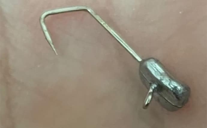 アジングにバーブレスフックのススメ　食い渋り時にメリットあり？