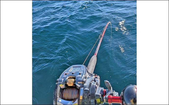 「浅場9mで訪れたチャンスをものに！」伊良湖沖の泳がせ釣りでヒラメ2匹手中【愛知】