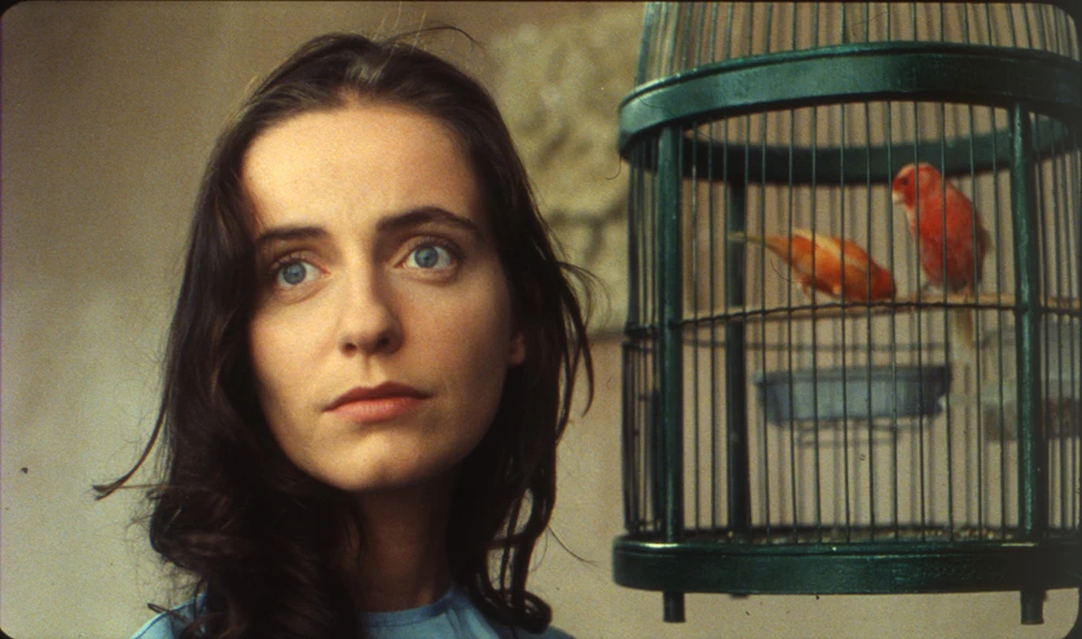 WEB アブラハム渓谷_main.jpg