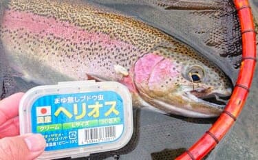 「まもなく本格解禁!」本流釣り入門解説 広大な流れから価値ある1尾を探し出す