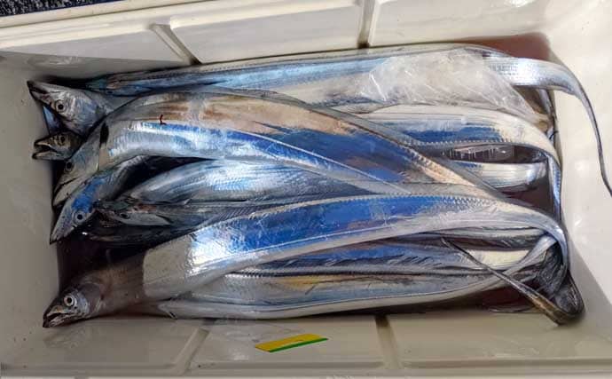 「ドラゴン級も登場!」走水沖のテンビンタチウオ釣りで船中トップ52尾【神奈川】
