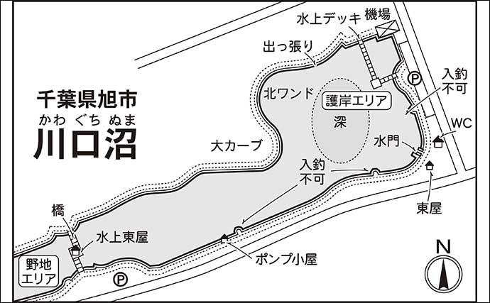 今週のヘラブナ推薦釣り場2026【千葉・川口沼】