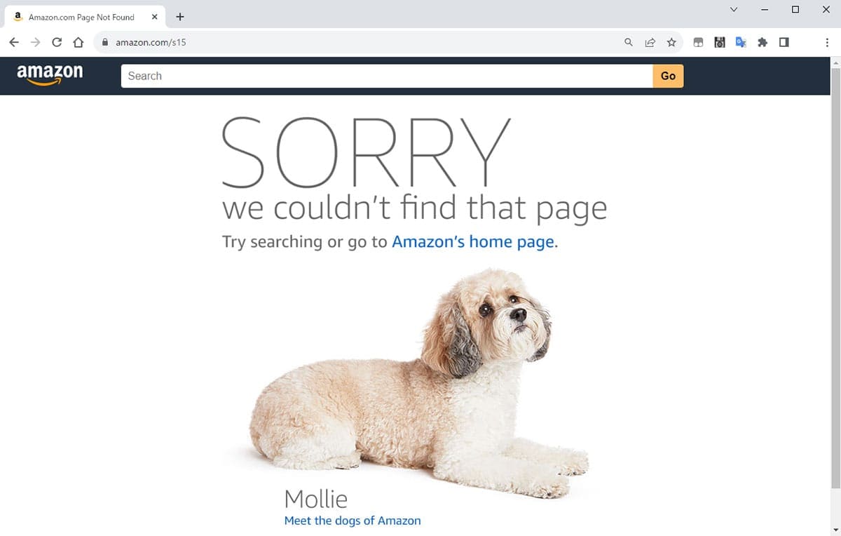 【ブラウザ】amazon.comの存在しないURLを作る1