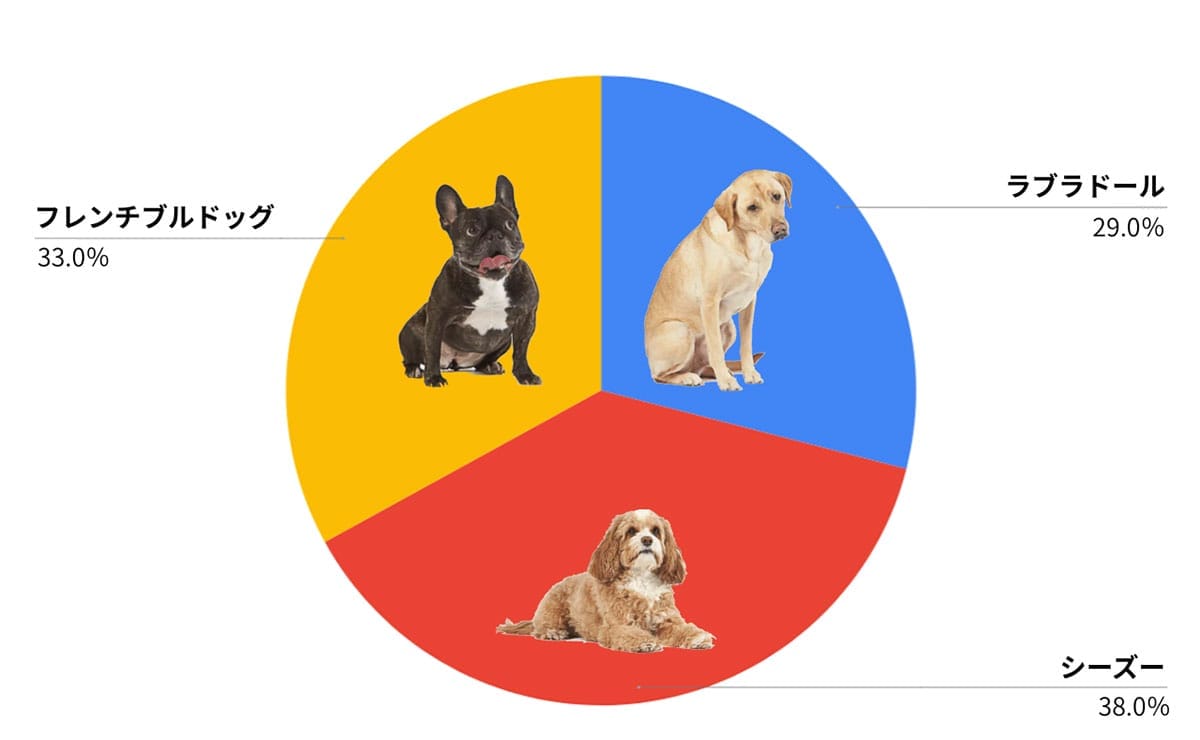 【検証】Amazonの犬の種類の出現率は?1
