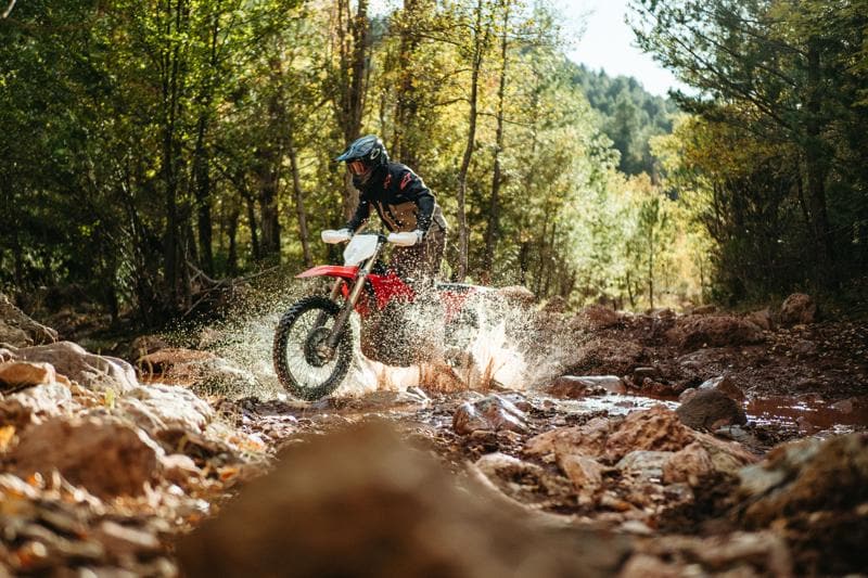 “公道対応×競技仕様”を両立　スペイン発Stark