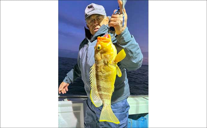 【沖釣り釣果速報】平戸沖の落とし込み釣りでヒラマサがズラリ！7kg頭に連発劇（長崎・佐賀）