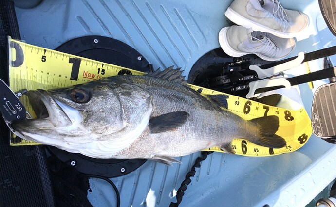 カヤックってどうやって買うの？ 【探し方・試乗方法・購入方法】を徹底紹介