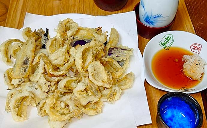 木曽川のハゼ釣りで44匹キャッチ【愛知】ウキ釣りとチョイ投げの二刀流で釣果を伸ばす