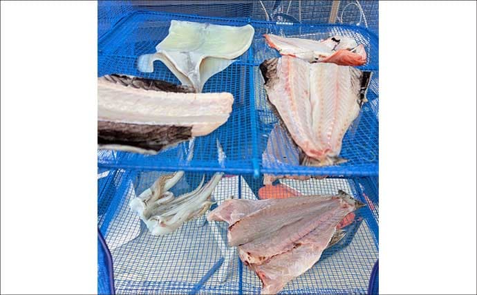 中深海ジギングで良型ムツを連打！【和歌山】低水温のうちはタフな状況が継続か