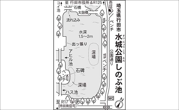 今週のヘラブナ推薦釣り場2025【埼玉・水城公園しのぶ池】