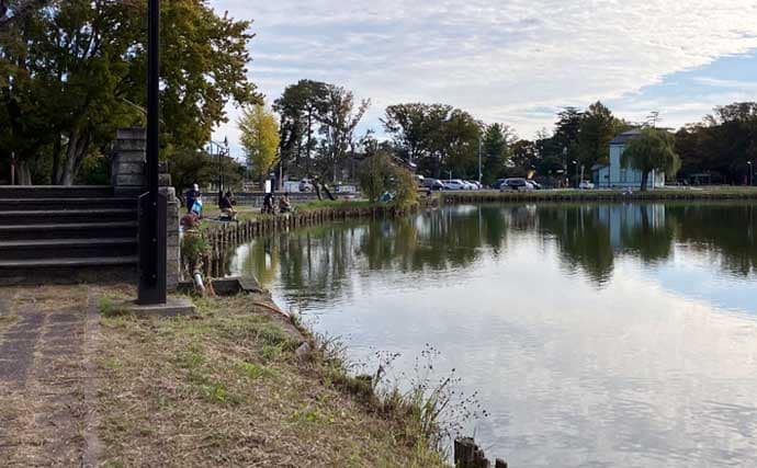 今週のヘラブナ推薦釣り場2025【埼玉・水城公園しのぶ池】