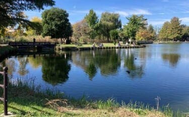 今週のヘラブナ推薦釣り場2025【埼玉・水城公園しのぶ池】