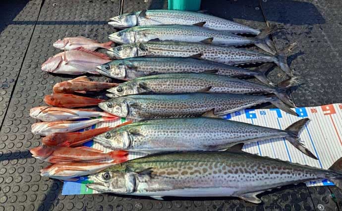 【沖のルアー釣果速報】タイラバで70cm超メダイ手中！良型マダイ＆アマダイ15匹と好釣果（三重）