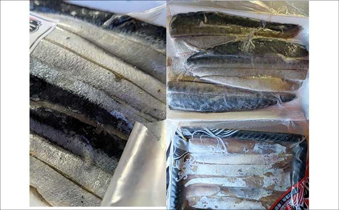 毒棘は怖いけど美味なオニカサゴを釣ろう！ 天秤（テンビン）仕掛けでの釣り方を解説
