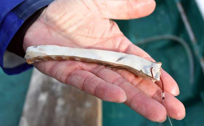 毒棘は怖いけど美味なオニカサゴを釣ろう！ 天秤（テンビン）仕掛けでの釣り方を解説