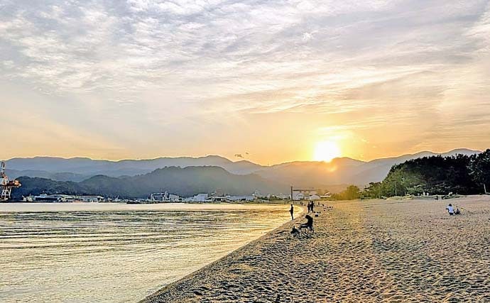 気比の松原の投げ釣りで19.5cm良型シロギスをキャッチ【福井】小ハリ変更&サオさびきで快釣