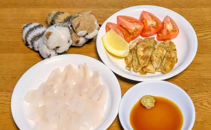 気比の松原の投げ釣りで19.5cm良型シロギスをキャッチ【福井】小ハリ変更&サオさびきで快釣