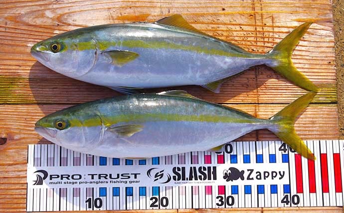 シーズン最後のジギング釣行でハマチをキャッチ！【明石沖】今シーズンは苦戦続き