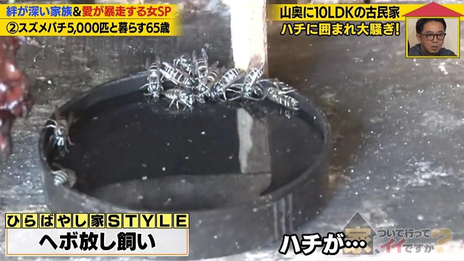 家、ついて行って