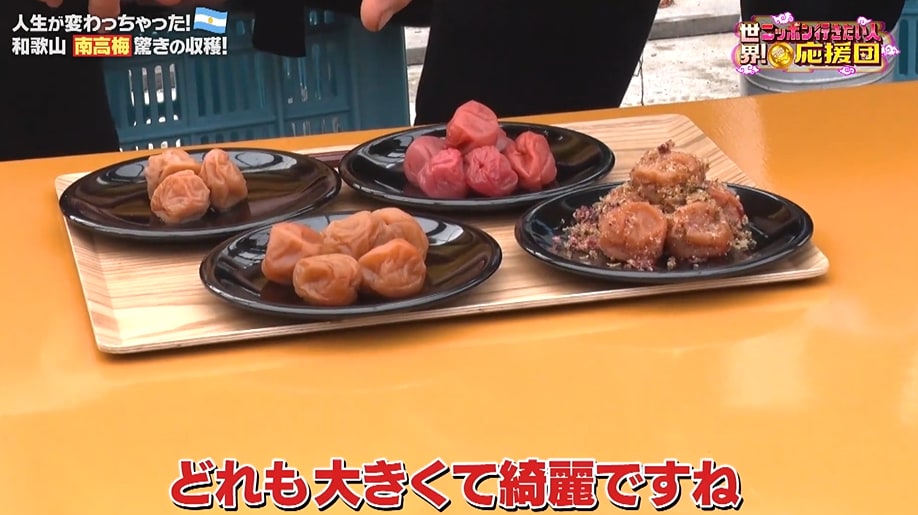 8／11応援団