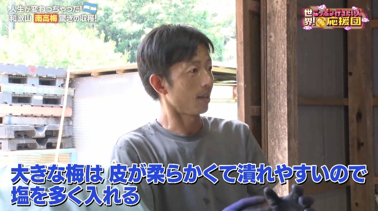 8／11応援団
