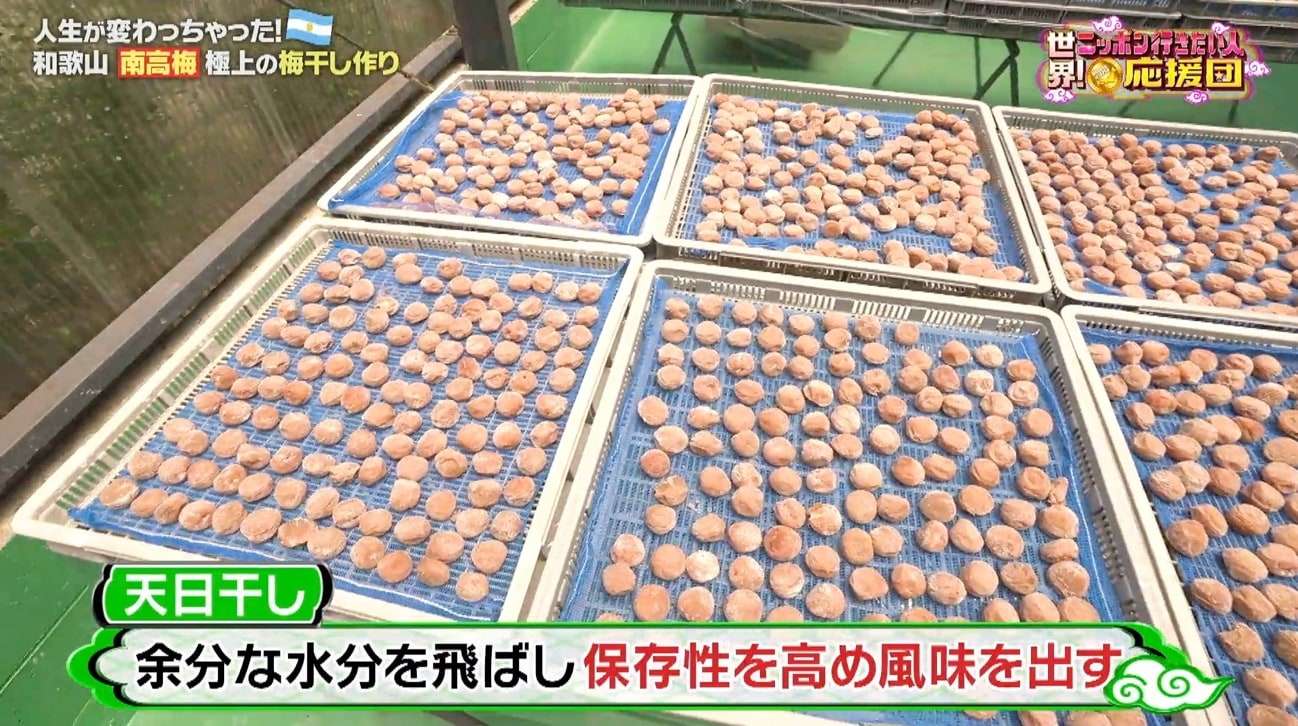 8／11応援団
