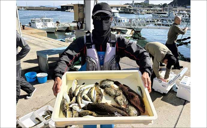 伊良湖沖のカットウ釣りで良型ヒガンフグ＆カワハギ続々【愛知】船宿の身欠き処理で持ち帰りも安心