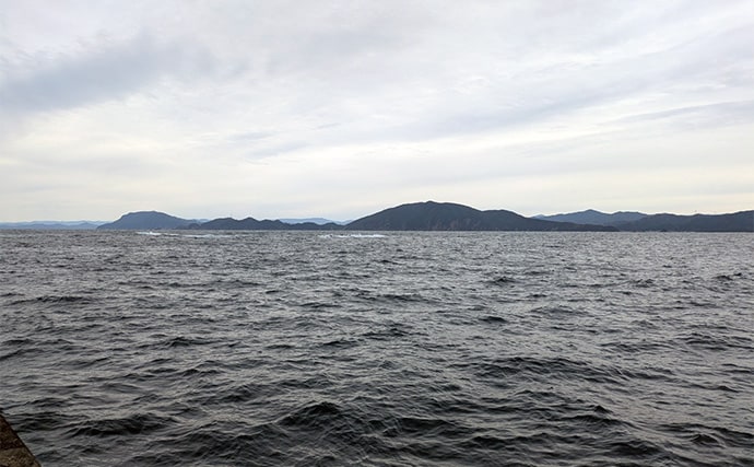 爆風の日本海エギングでアオリイカ5杯【福井】底ベタ徹底攻略で繊細アタリを拾う