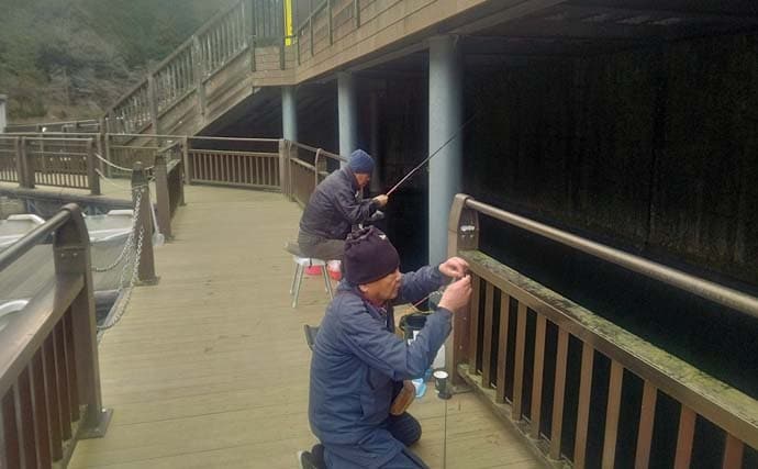 伊自良湖での桟橋ワカサギ釣りで良型中心にポツポツ【岐阜】朝マヅメにアタリ集中