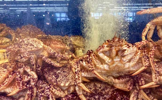 水槽飼育の最大の難関は「最初の1週間」！　注意すべき6つのポイントを解説