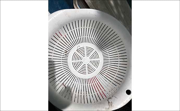 水槽飼育の最大の難関は「最初の1週間」！　注意すべき6つのポイントを解説