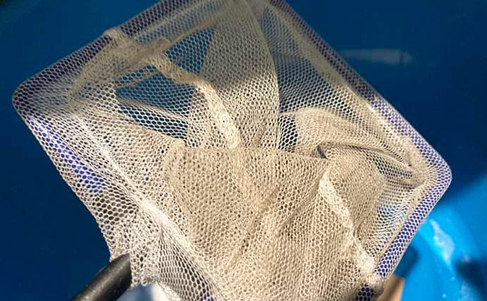 水槽飼育の最大の難関は「最初の1週間」！　注意すべき6つのポイントを解説