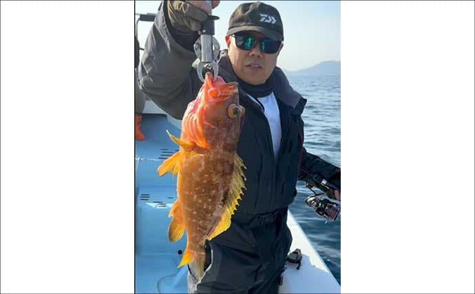 五島灘のSLJ・タイラバでアコウ2kg級含め船中40尾手中【Fisher526】ヒラマサ気配も濃厚
