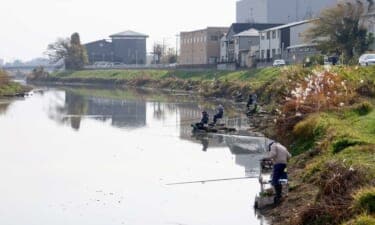 今週のヘラブナ推薦釣り場【埼玉県・大落古利根川】