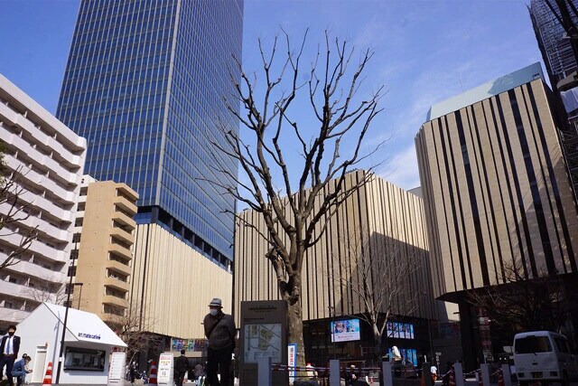 再開発の目玉「Hareza池袋」周辺