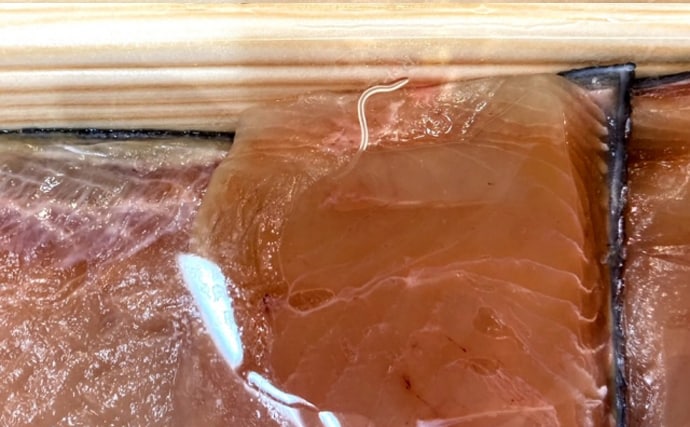 アニサキス中毒は「鮮度の問題」ではなかった　「P型」は安全で「S型」が危ない？