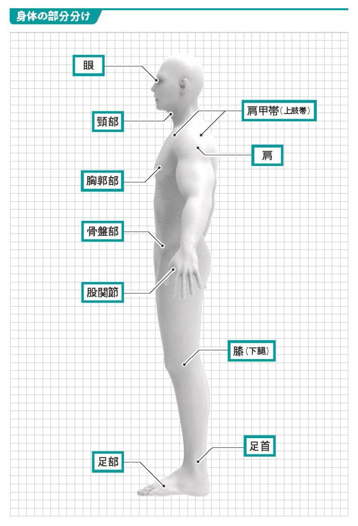 身体の部位を10に分ける【スポーツ障害予防の教科書】