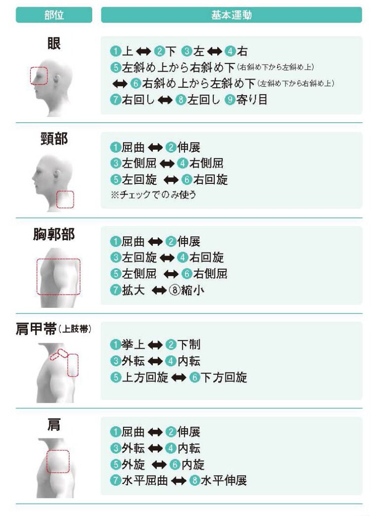 各部位の基本運動【スポーツ障害予防の教科書】
